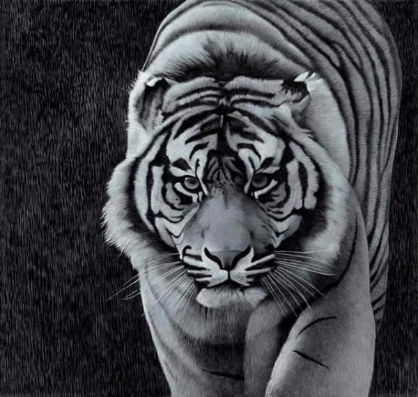 La tigre della collezione Arte Mariani